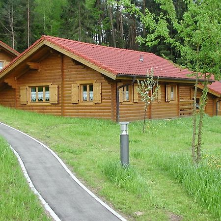 Blockhaus Bayerischer Wald Stamsried Экстерьер фото