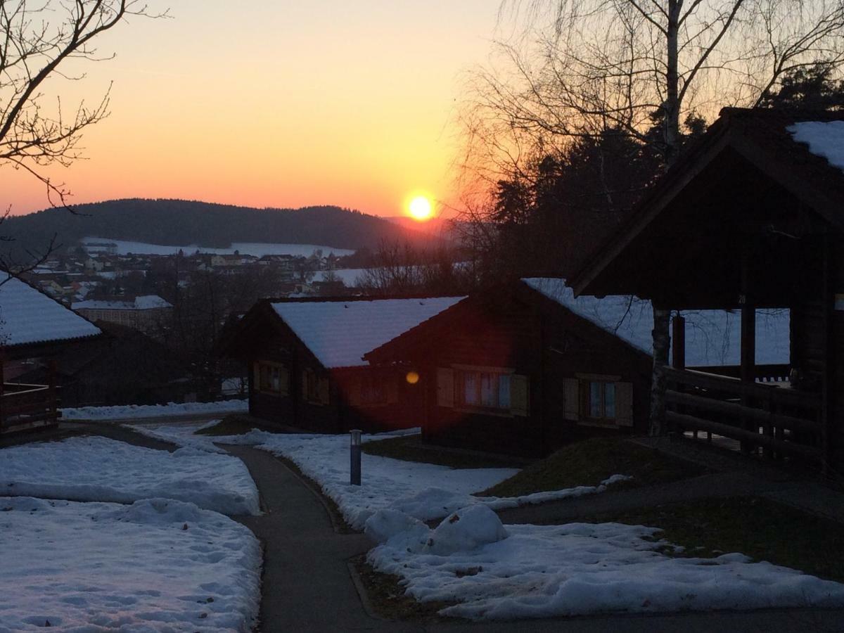 Blockhaus Bayerischer Wald Stamsried Экстерьер фото